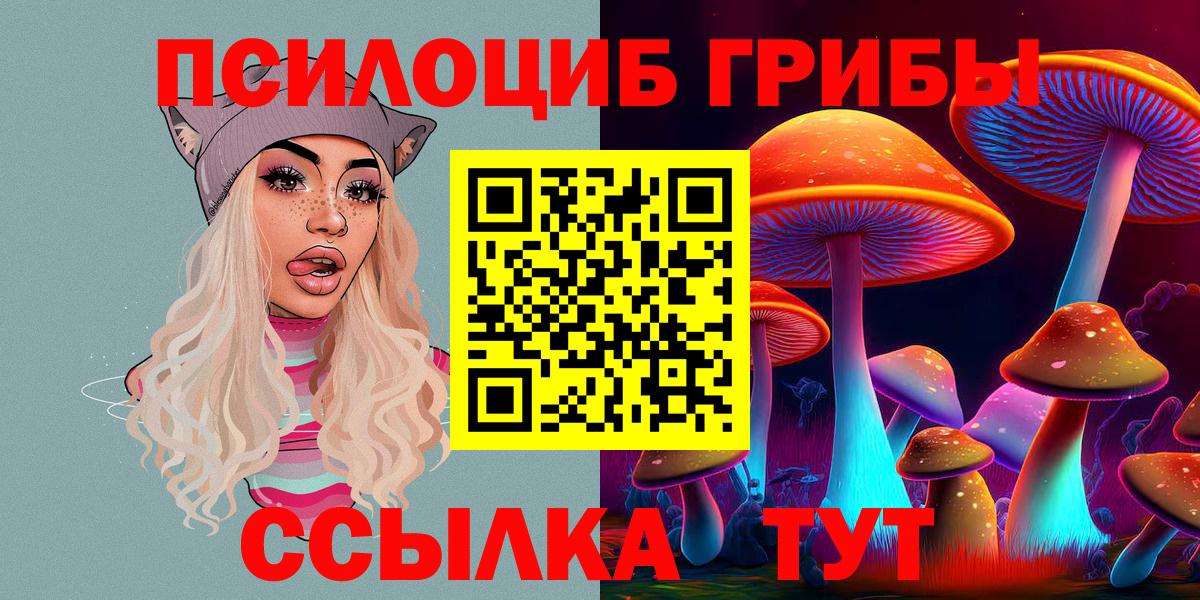 Тулун  Галлюциногенные грибы Psilocybe  Галлюциногенные грибы MAGIC MUSHROOMS  Вход с VPN 
