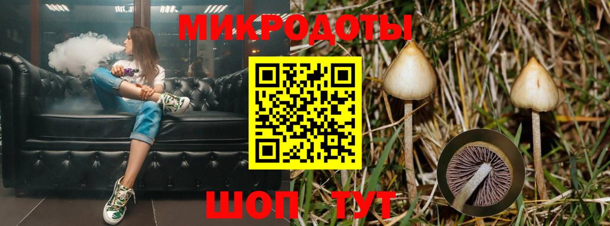 Галлюциногенные грибы MAGIC MUSHROOMS Тулун